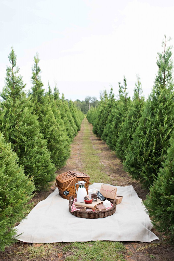 Christmas Tree Farm