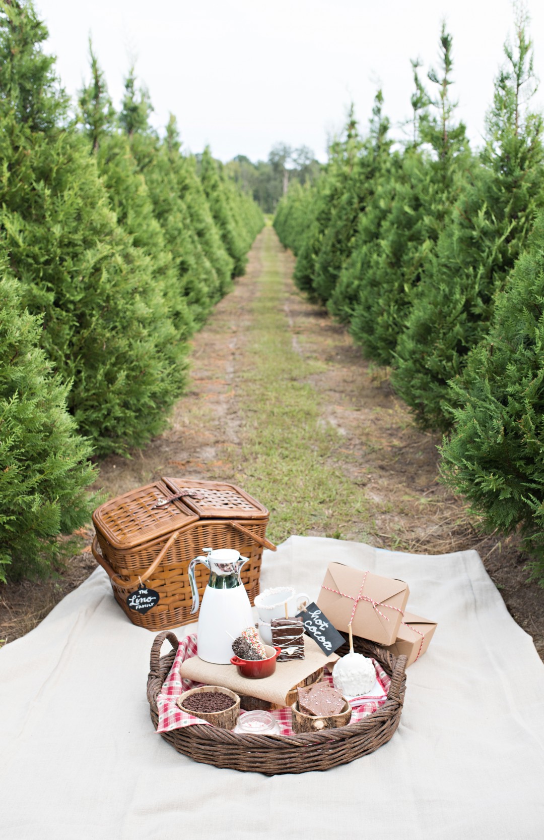 Christmas Tree Farm