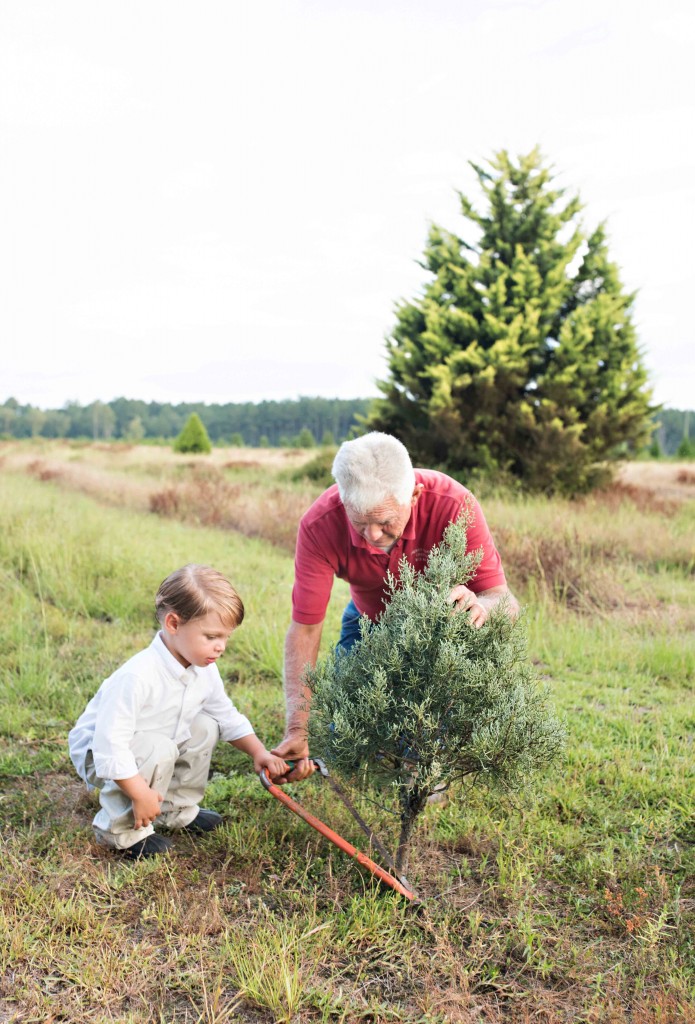 Christmas Tree Farm