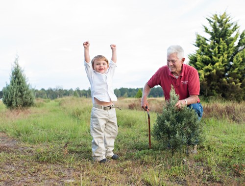 Christmas Tree Farm