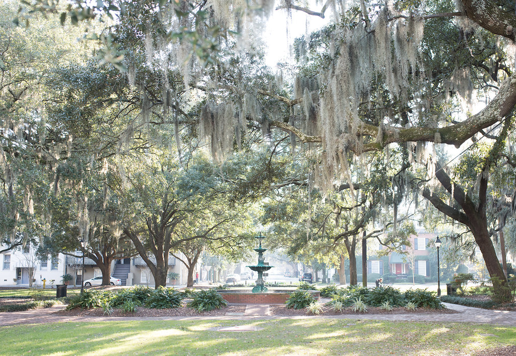 Around Savannah with James Gunn