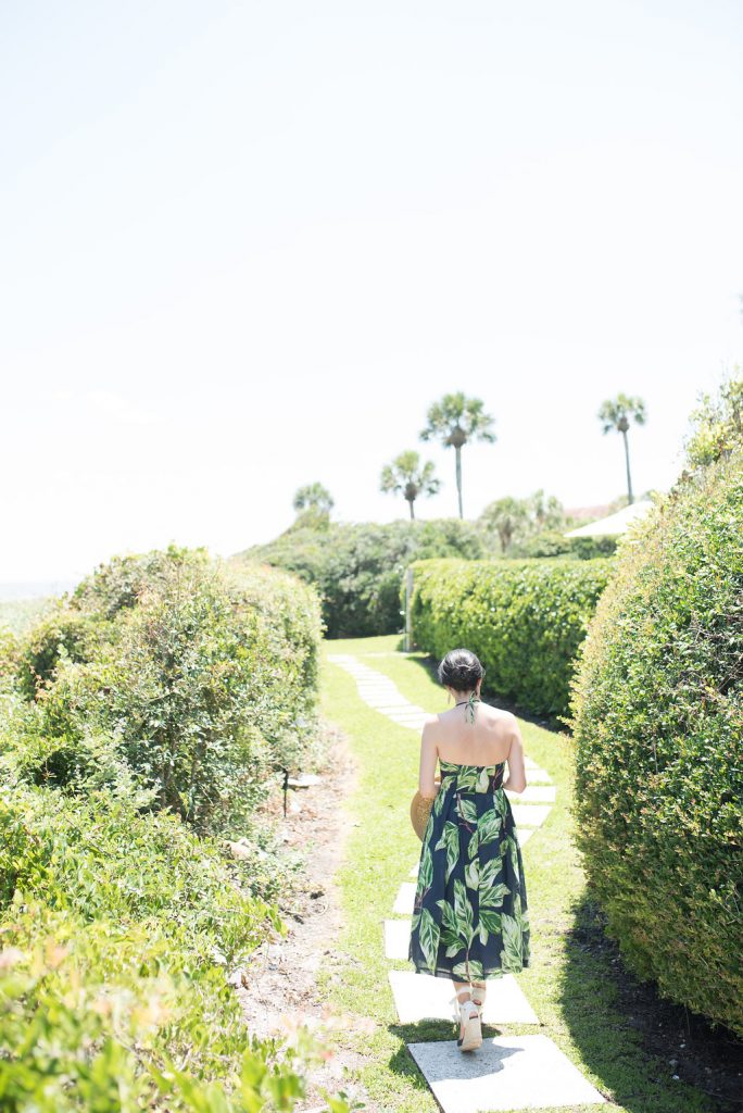 Ann Taylor Tropical Sundress