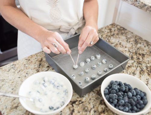 Frozen Yogurt Blueberries
