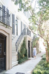 Savannah Mini Guide