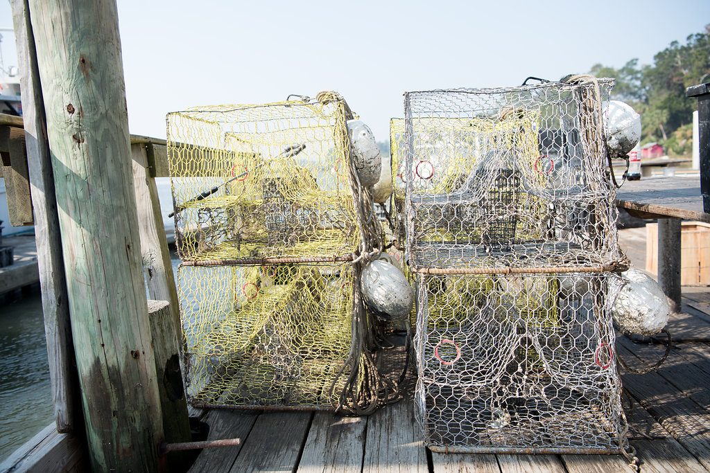 Bluffton Oyster Co