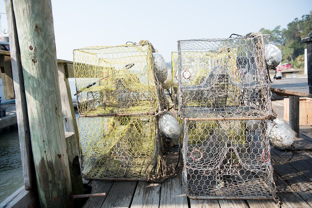 Bluffton Oyster Co