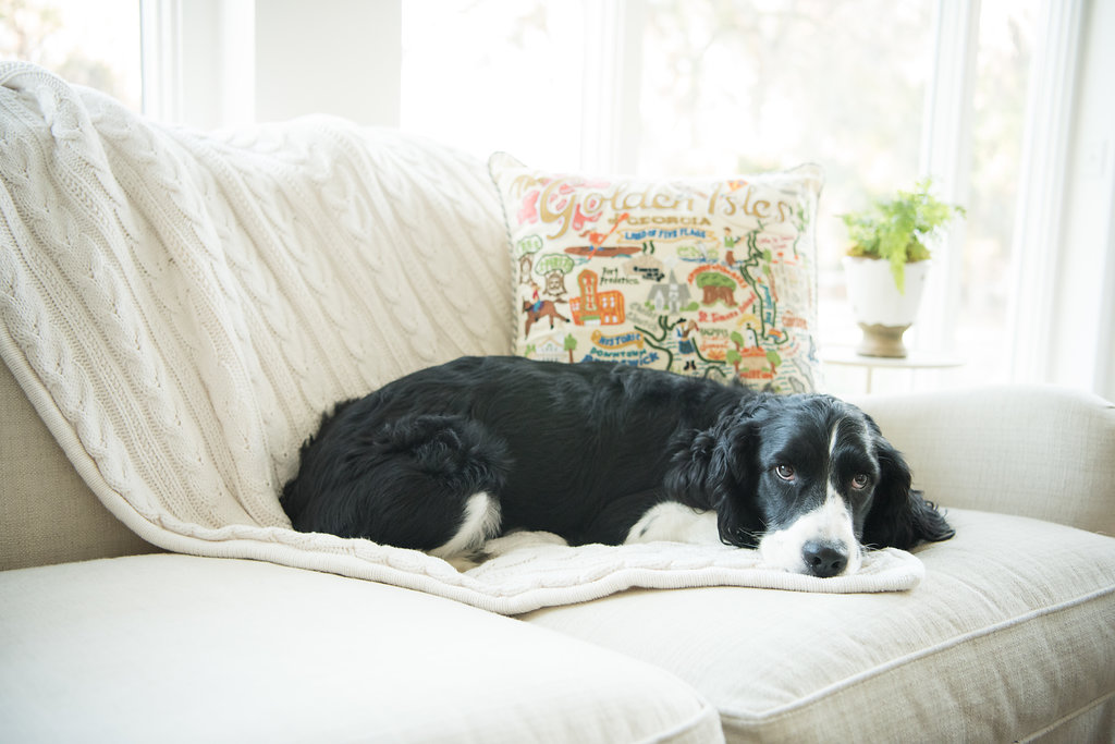 CatStudio Golden Isles Pillow