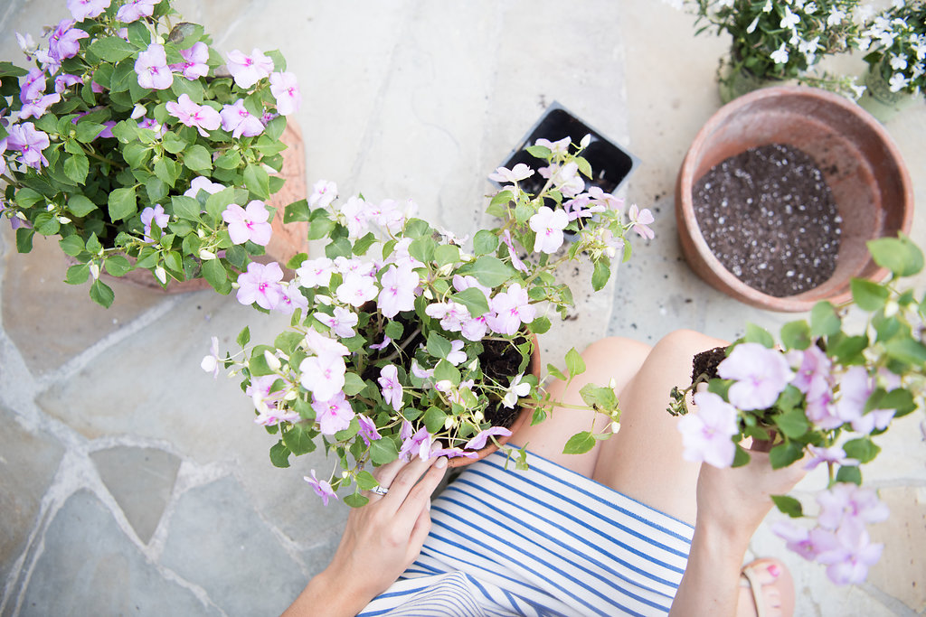 Front Porch Refresh