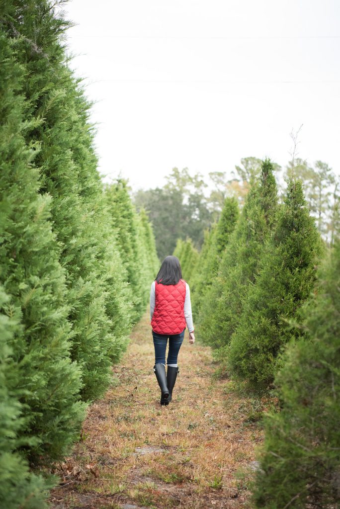 jcrew Christmas Tree Farm