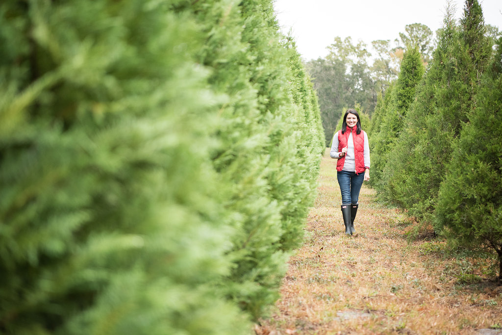 jcrew Christmas Tree Farm