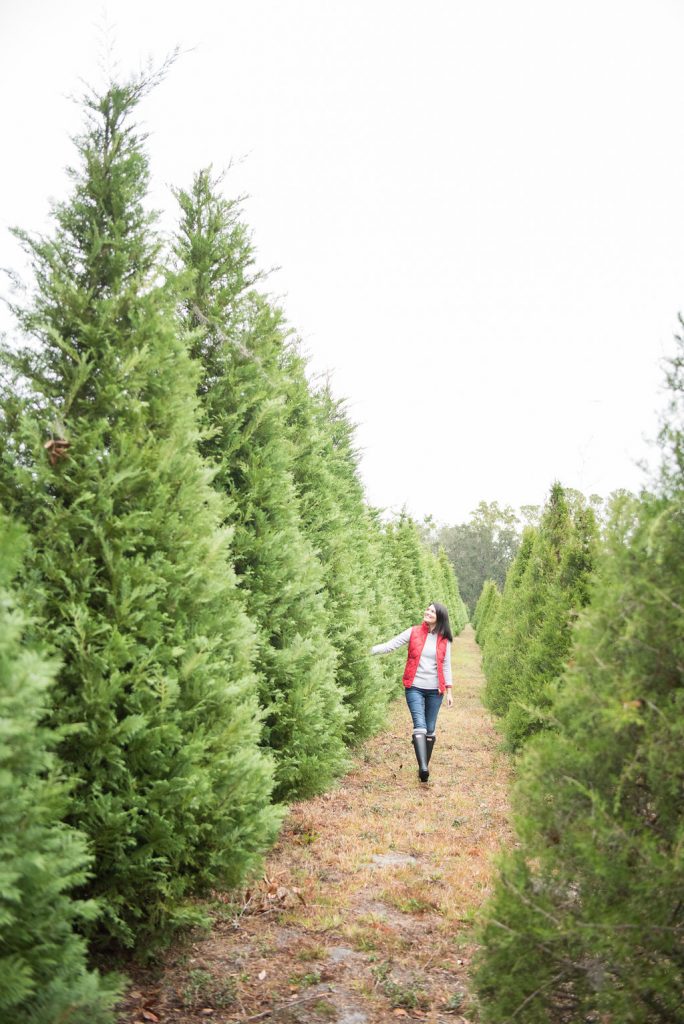 jcrew Christmas Tree Farm