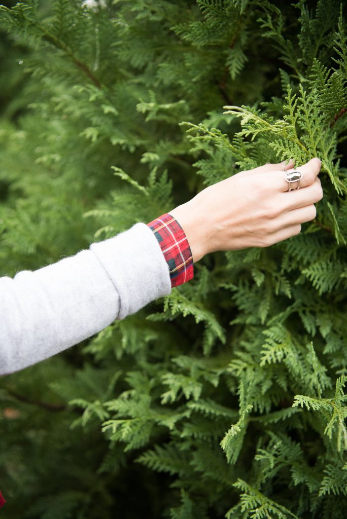 jcrew Christmas Tree Farm