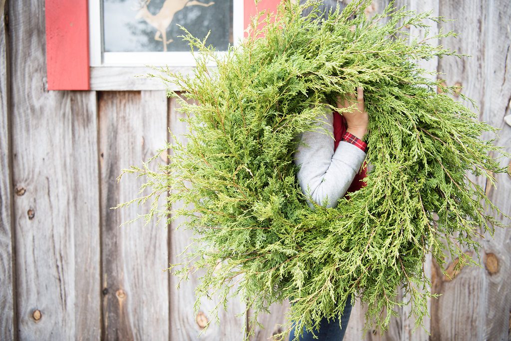 jcrew Christmas Tree Farm