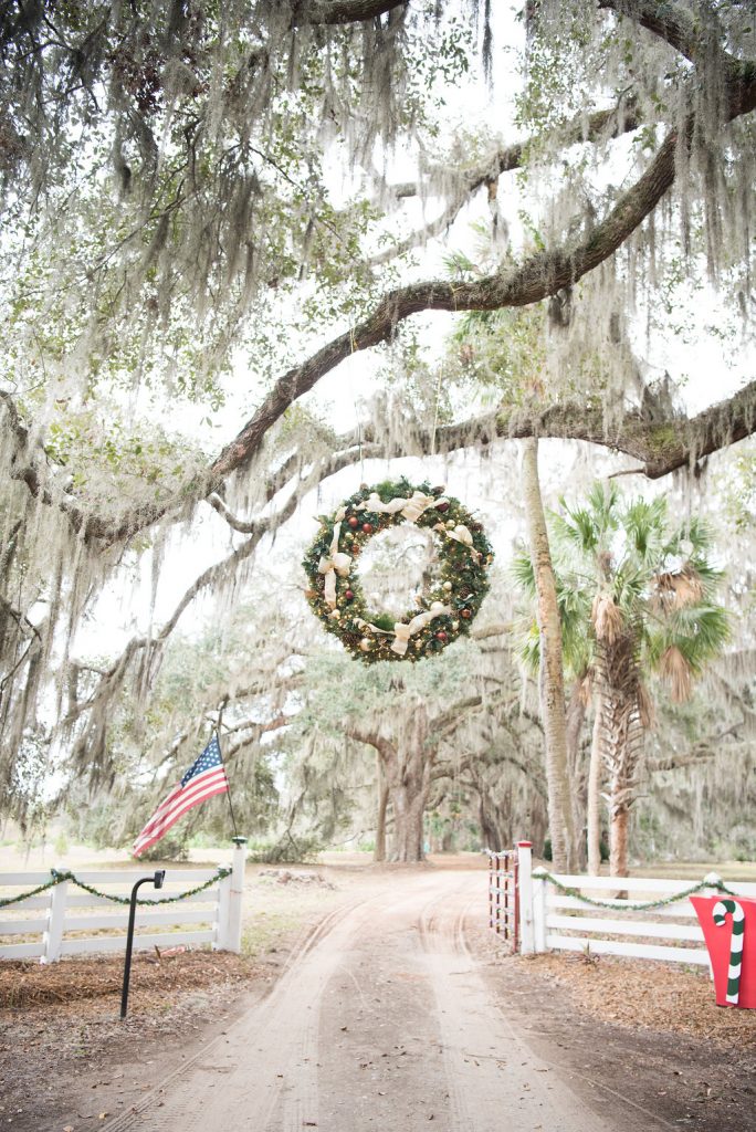 jcrew Christmas Tree Farm