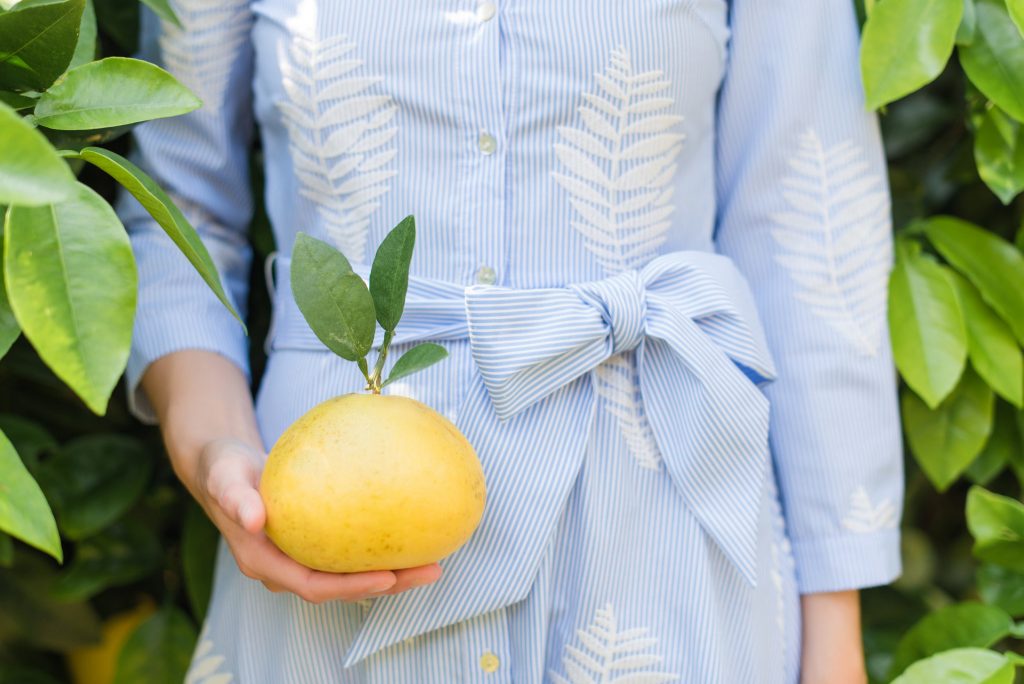 Grapefruit Stovetop Potpourri