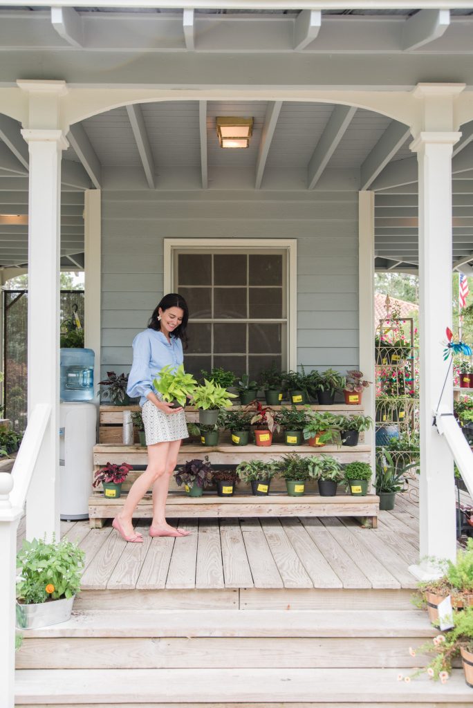 Ace Garden Center St. Simons Island