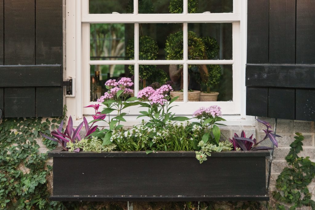 Window Box Inspiration