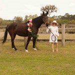 Derby Day Fashion