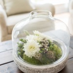 DIY Terrarium Centerpiece