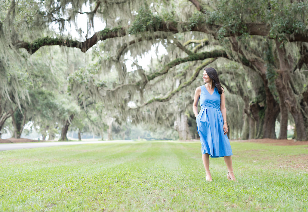 JCREW Poplin Dress