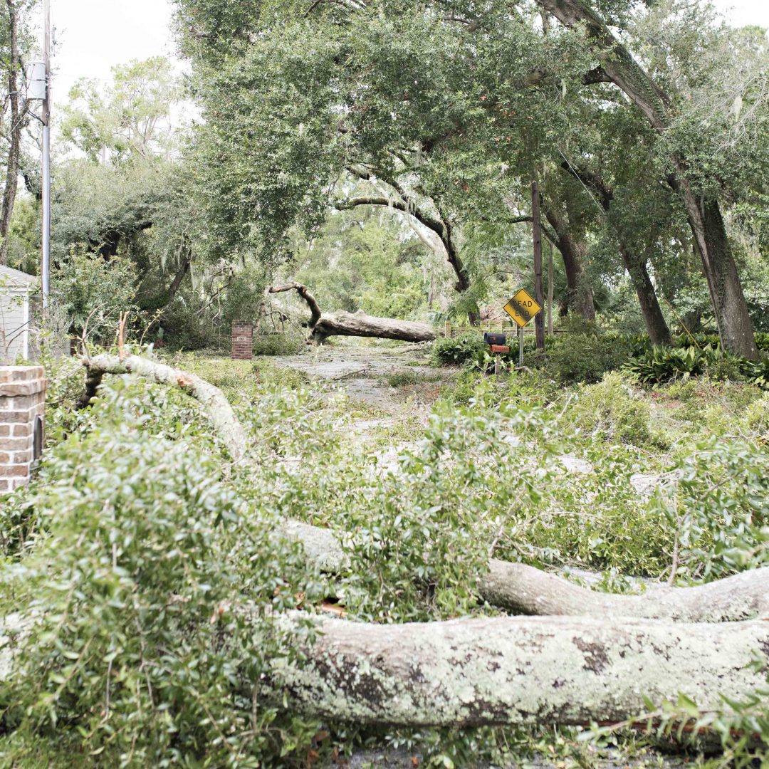 Hurricane Matthew