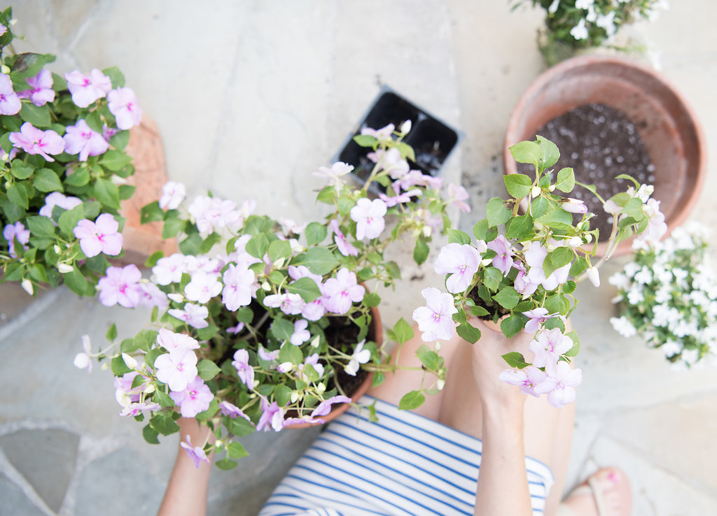 Habitat Flowers Home