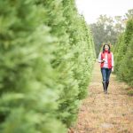 jcrew Christmas Tree Farm